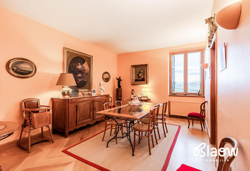 Viager - Maison - 306 m² - 9 pièces