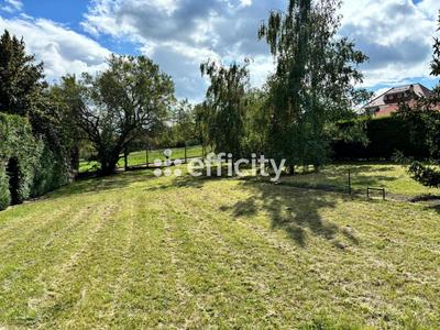 Terrain - 778 m²