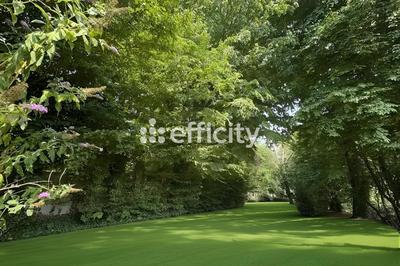 Maison - 240 m² - 8 pièces