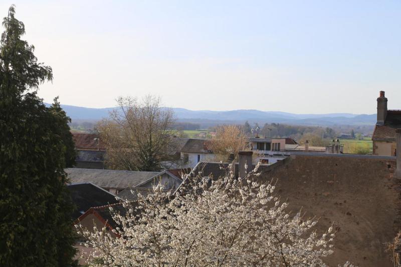 Hôtel particulier - 583 m² - 14 pièces