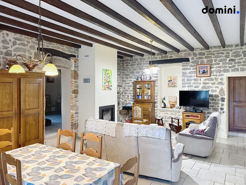 Viager - Maison ancienne - 155 m² - 5 pièces