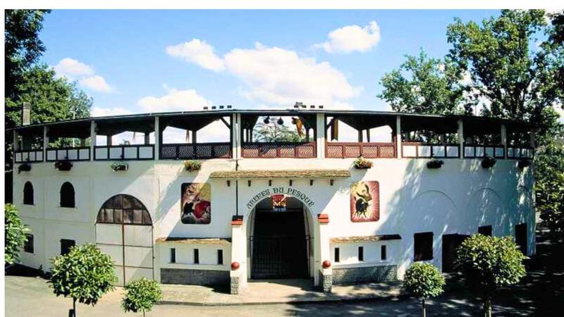 Présentation du livre : Yegüizo