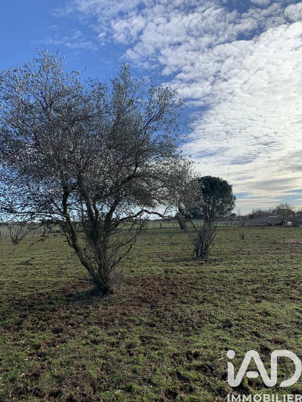 Terrain agricole - 3 863 m²