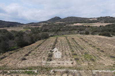 Terrain agricole - 4 160 m²