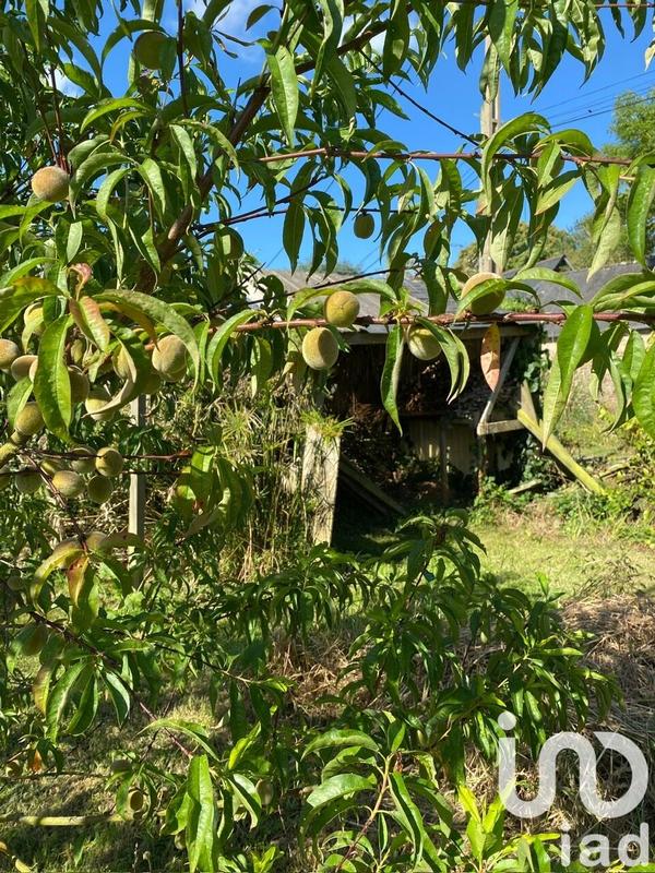 Maison - 117 m² - 5 pièces