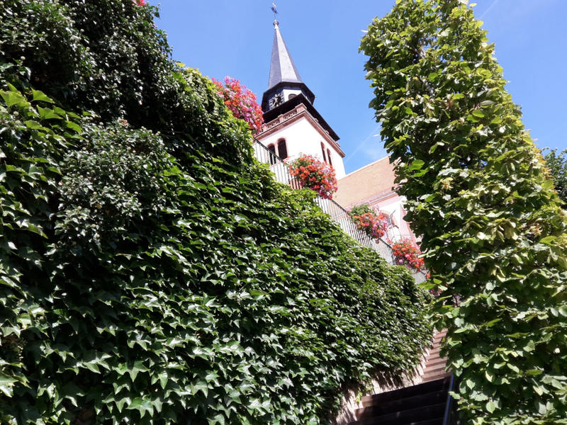 Visite guidée du patrimoine de Lauterbourg