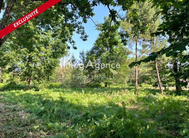 Terrain constructible - 1 124 m²