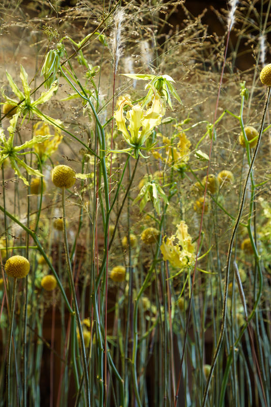 Quand fleurir est un art au Château de Chaumont-sur-Loire