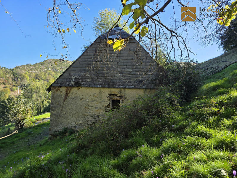 Maison ancienne - 60 m² - 1 pièce