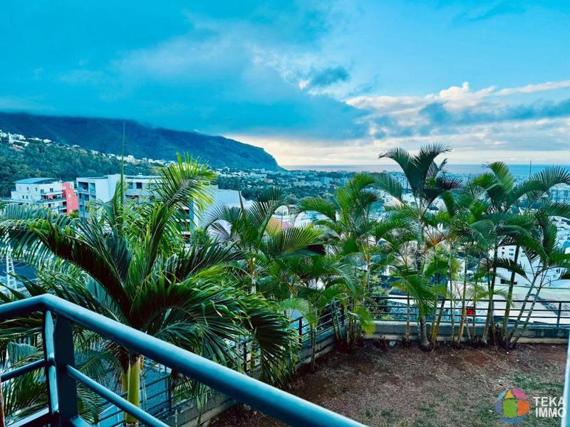 Studio - 25 m² - 1 pièce