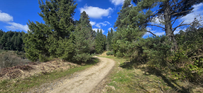 Propriété - 576 m² - 20 pièces