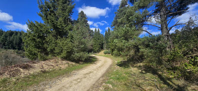 Propriété - 576 m² - 20 pièces