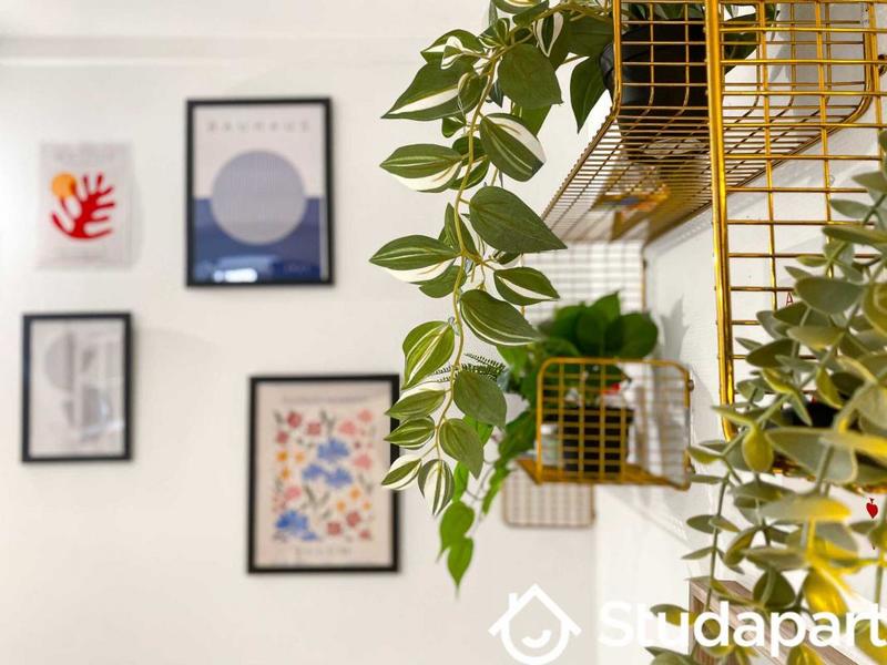 Appartement - 64 m² - 1 pièce