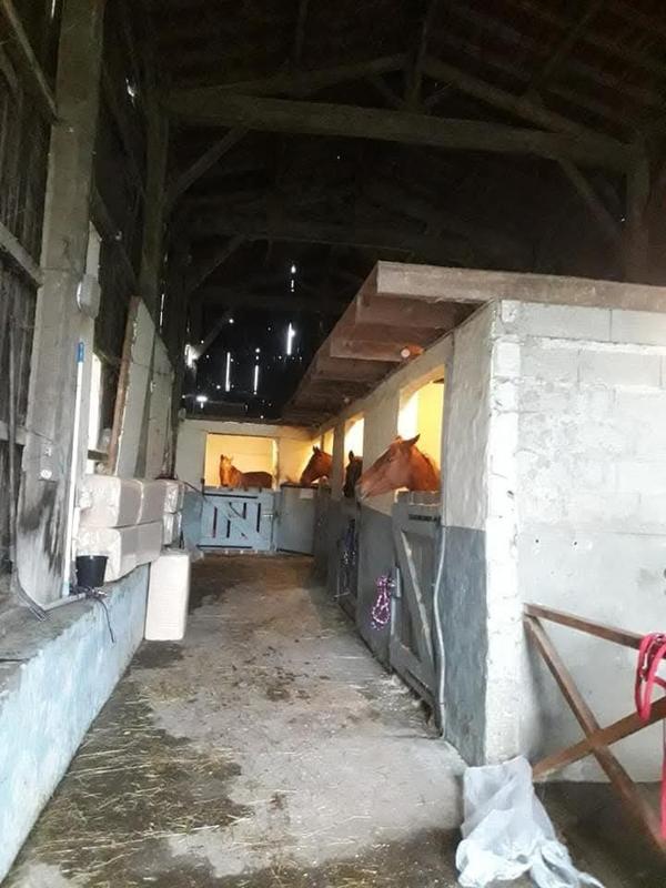 Maison - 335 m² - 14 pièces