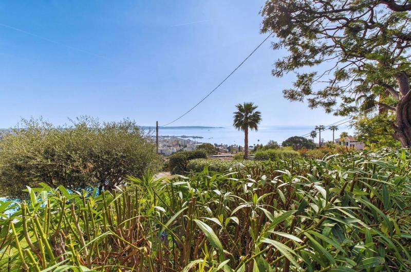 Propriété - 317 m² - 9 pièces