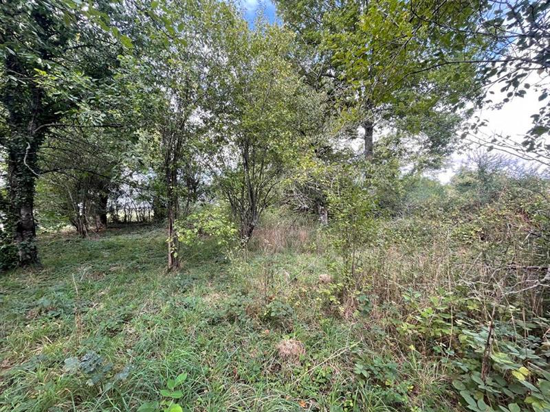 Maison - 108 m² - 3 pièces