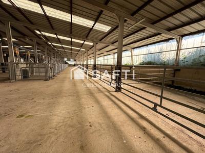 Maison - 155 m² - 5 pièces