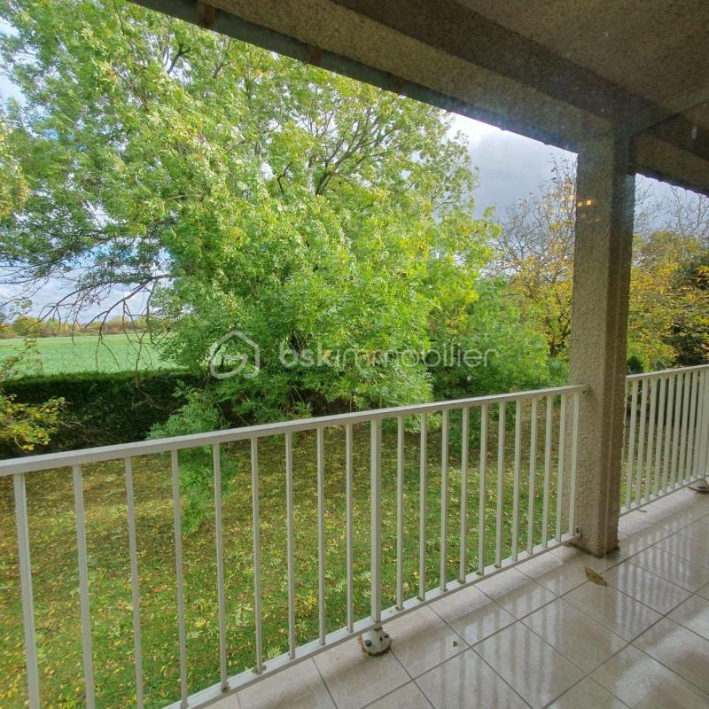 Studio - 30 m² - 1 pièce