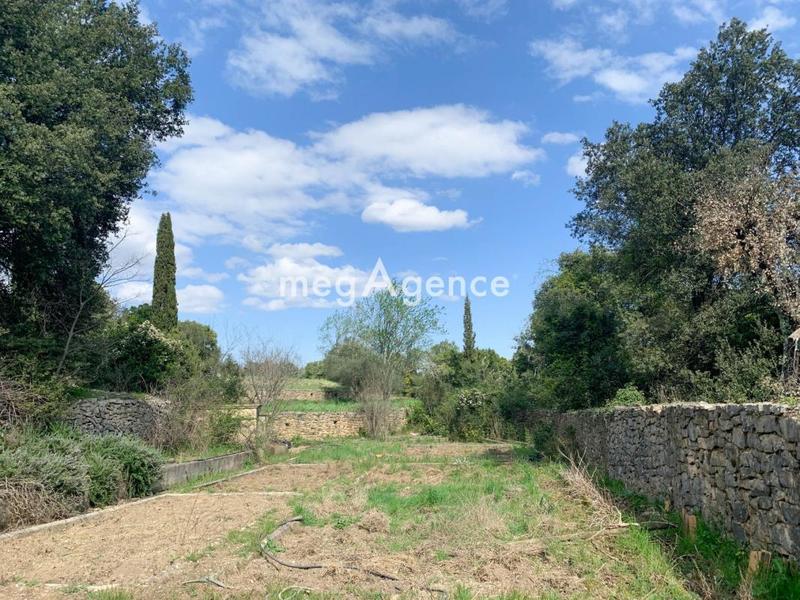 Propriété - 1 000 m² - 12 pièces