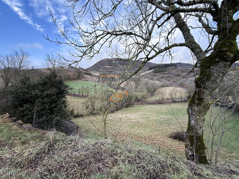 Maison - 220 m² - 8 pièces