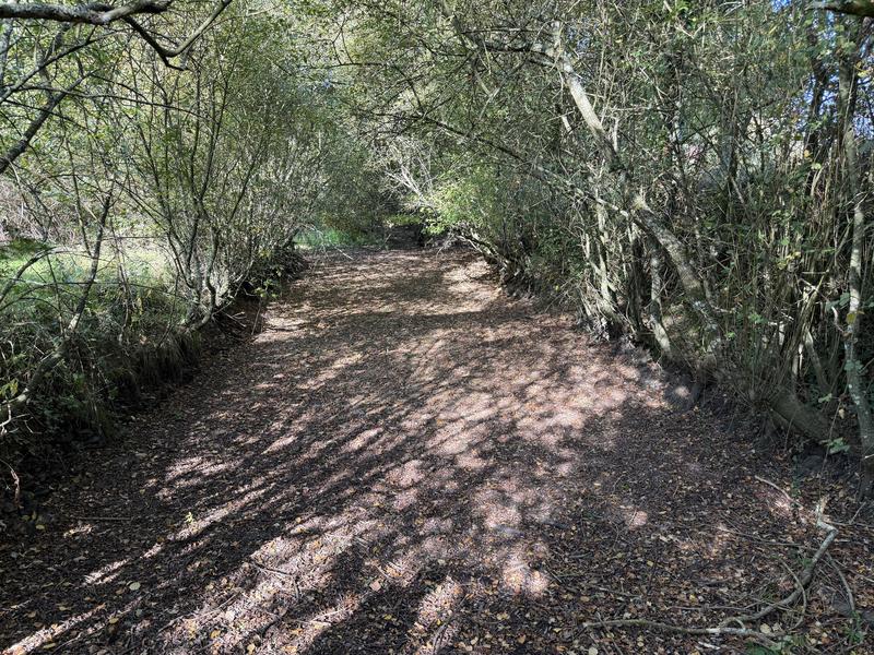 Terrain de loisirs - 7 720 m²