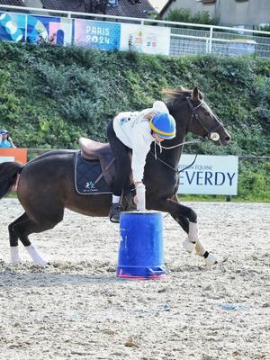 Concours de Pony- Games