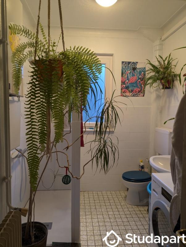 Appartement - 87 m² - 4 pièces