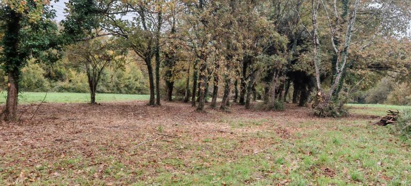 Terrain constructible - 2 487 m²