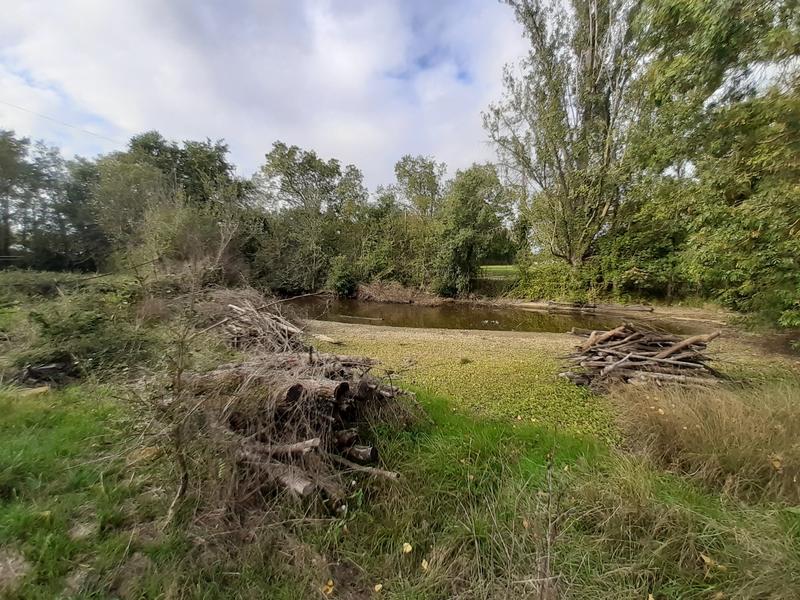 Maison - 205 m² - 6 pièces