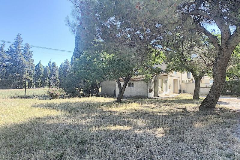 Mas - 90 m² - 3 pièces