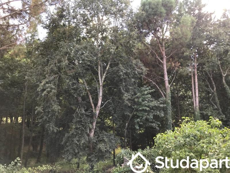 Chambre - 9 m² - 1 pièce