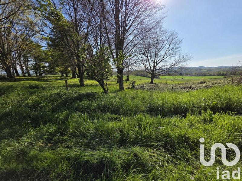 Maison - 350 m² - 11 pièces