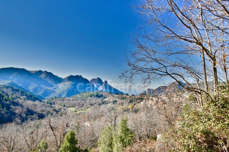 Immeuble - 519 m² - 21 pièces