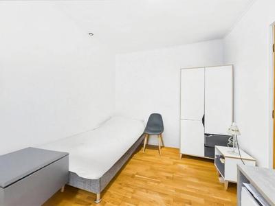 Studio - 20 m² - 1 pièce