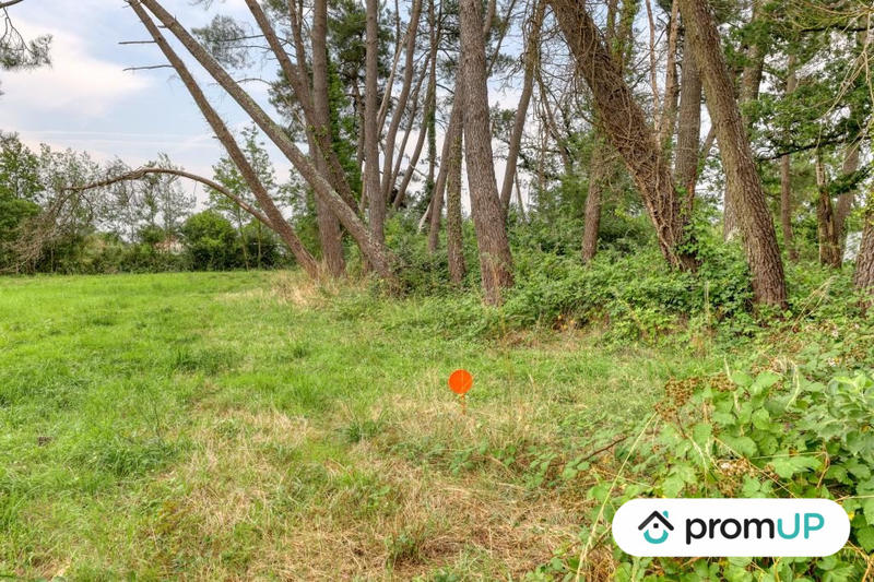 Terrain de loisirs - 946 m²