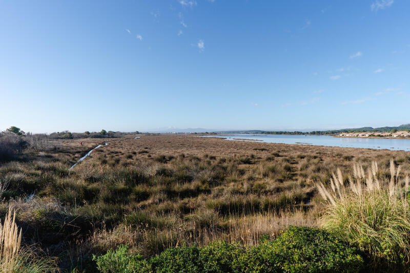 Maison - 39 m² - 3 pièces