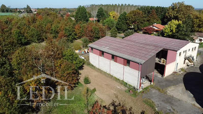 Local commercial - 1 750 m² - 3 pièces
