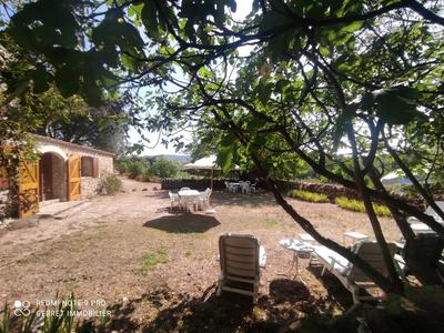 Maison en pierre - 300 m² - 6 pièces