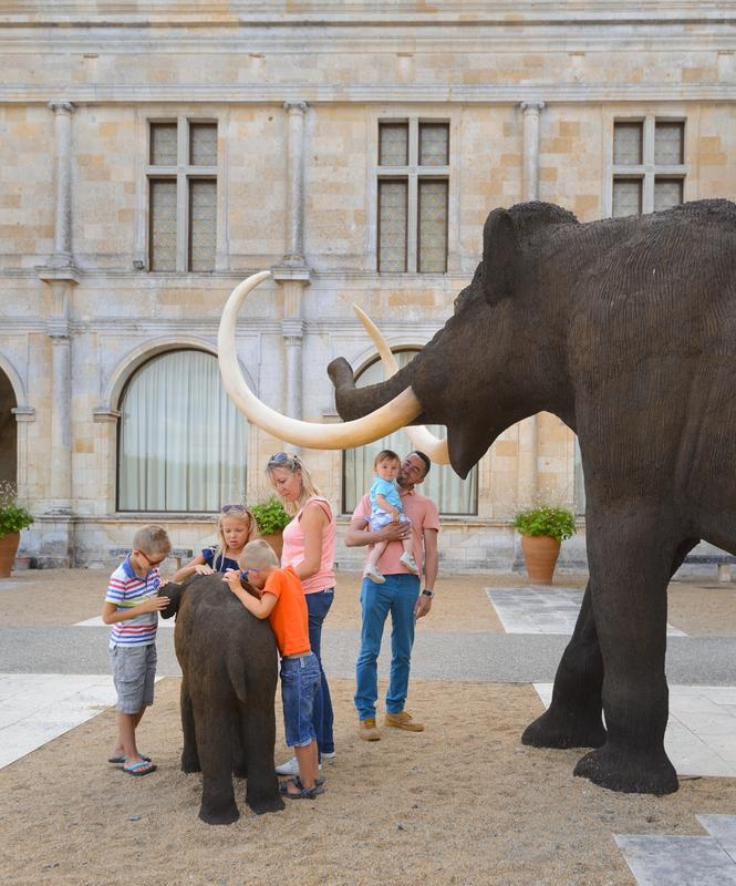 Visite guidée des collections 100 000 ans de Préhistoire en Touraine