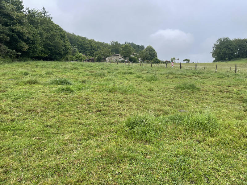 Terrain - 15 636 m²