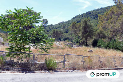 Terrain - 10 000 m²