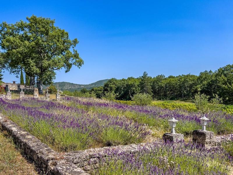 Maison de campagne - 430 m² - 18 pièces