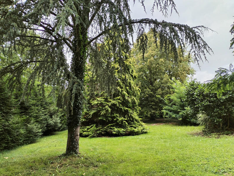 Maison - 163 m² - 6 pièces