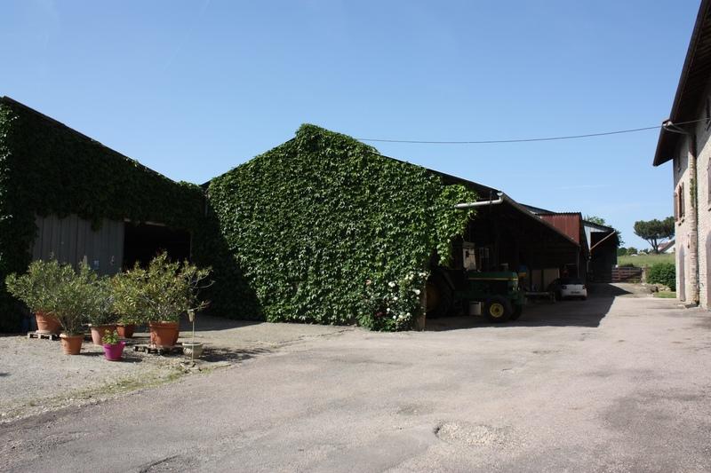 Ferme - 260 m² - 12 pièces