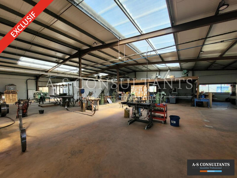 Local d'activité / Entrepôt - 918 m²