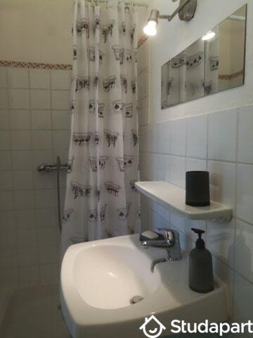 Appartement - 17 m² - 1 pièce