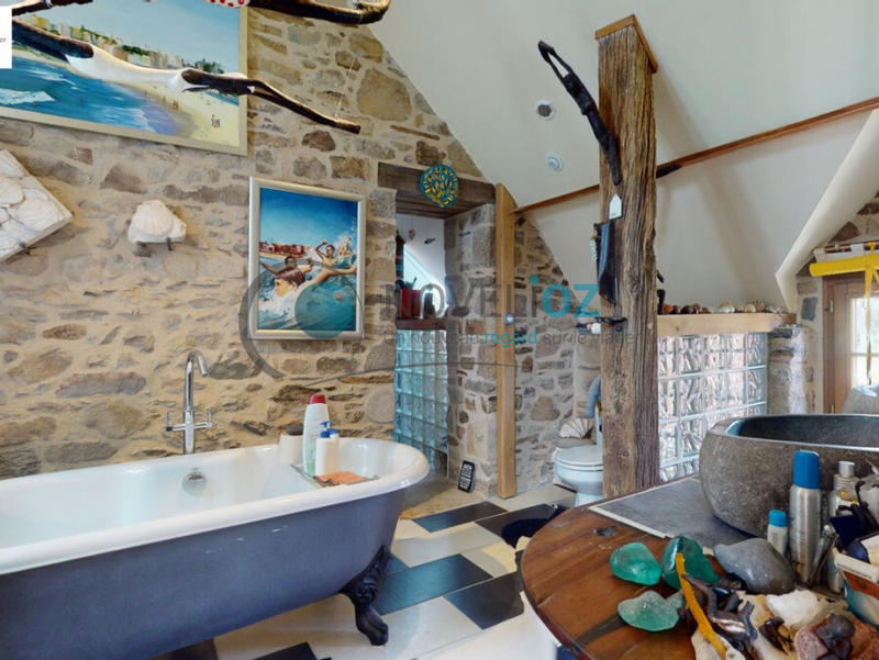 Viager - Maison - 259 m² - 8 pièces