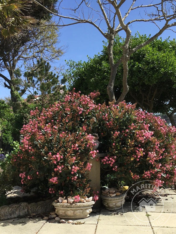 Maison ancienne - 130 m² - 6 pièces