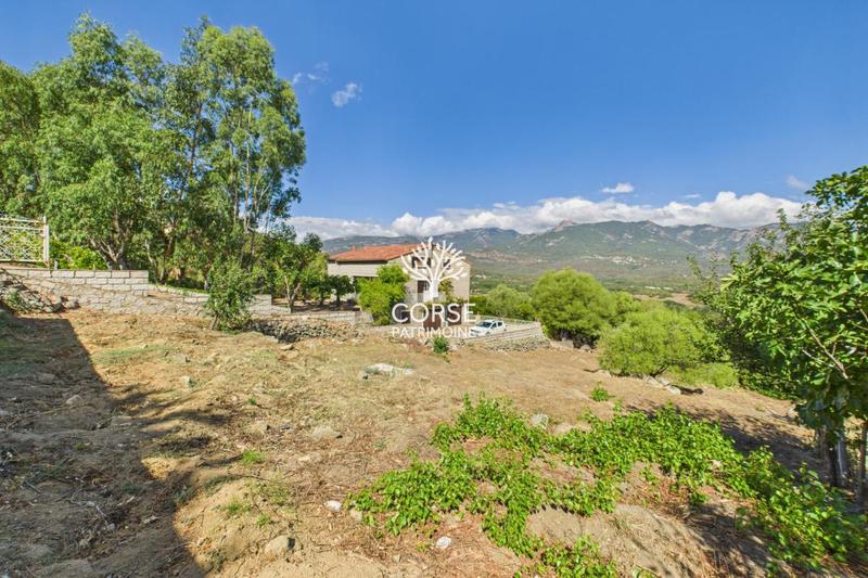 Maison traditionnelle - 250 m² - 5 pièces