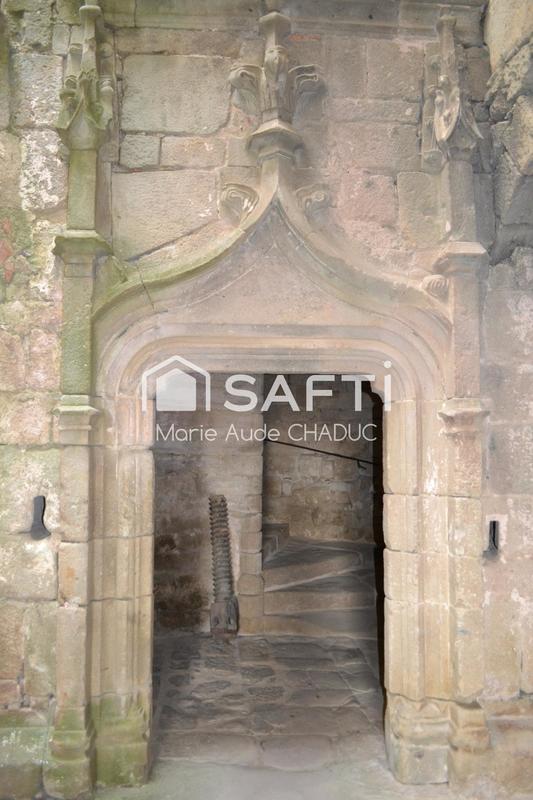 Château - 800 m² - 15 pièces